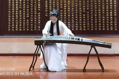 第八屆中國(國際)器樂文化藝術(shù)節(jié)南陽站演出活動(dòng)圓滿舉行，助推文化藝術(shù)交流新篇章